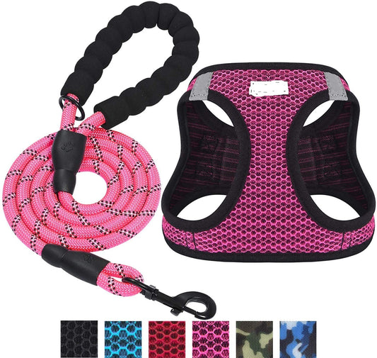 Reflective Dog Leash – Durable, Night Safety Walking Lead for Dogs