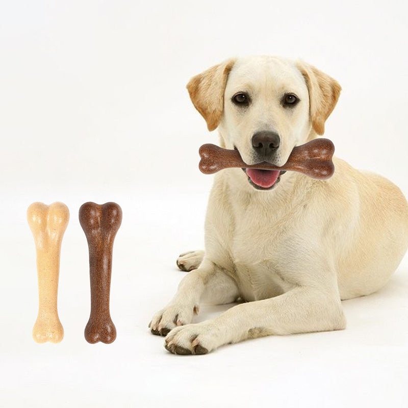 Dog Bone Molar Stick | Bite Resistant Chew Toy & Tooth Cleaner for Pets