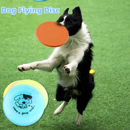 Silicone Flying Disc Toy | Durable Chew-Resistant Frisbee for Dogs & Cats