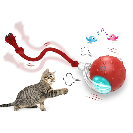 Interactive Cat Toy Ball | Smart Rolling Ball for Active Cats & Kittens